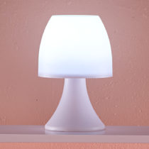 Blancheporte LED lampička so 6 LED diódami, biela biela