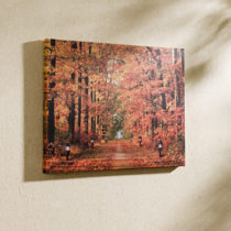 Blancheporte LED obraz "Jesenný les"