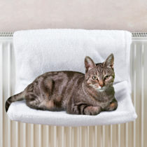 Blancheporte Mačacie ležadlo na radiátor