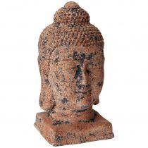 Hlava Budhy Buddha