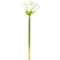 Umelá Kvetina Amaryllis I